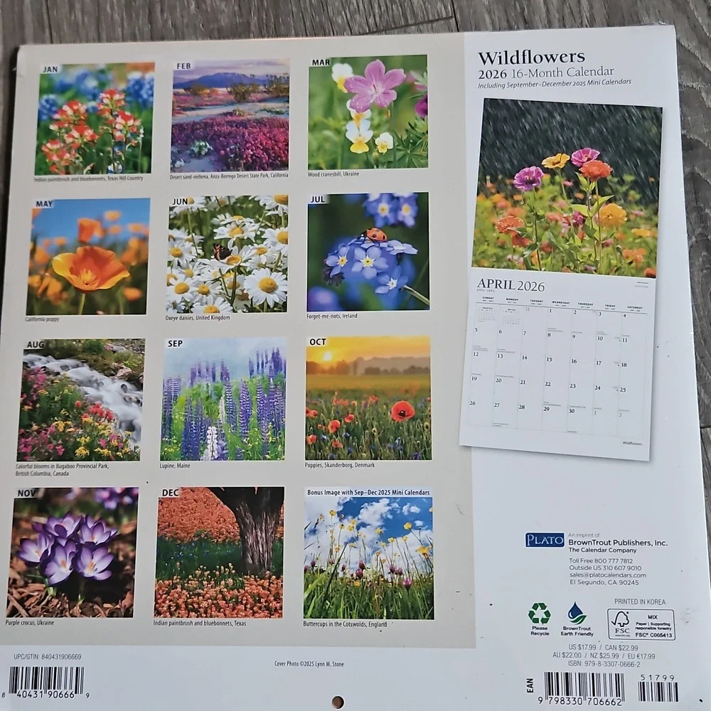 2026 Beautiful Pink Puppies Hummingbirds Wildflowers Pictures Calender Lot